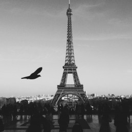 Hızlı Paris Turu